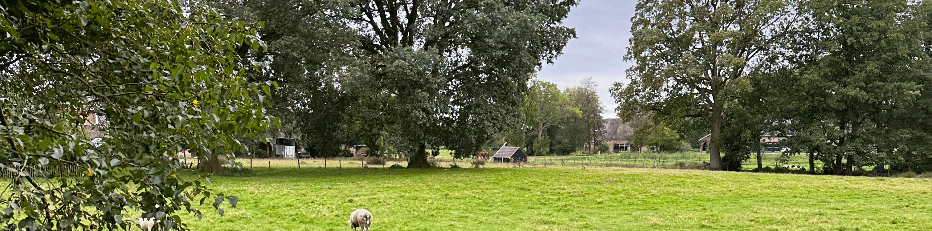 In het prachtige Drenthe midden in de natuur, een unieke locatie!