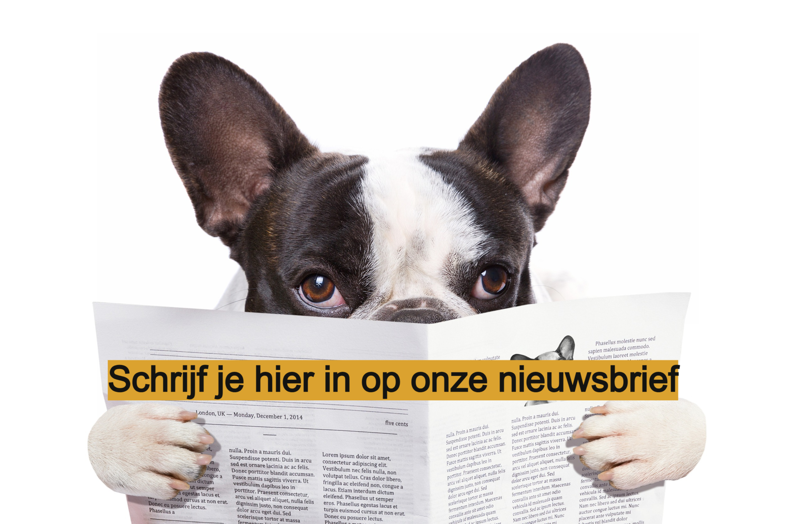 Wordt klant en schrijf je gratis in op onze nieuwsbrief!